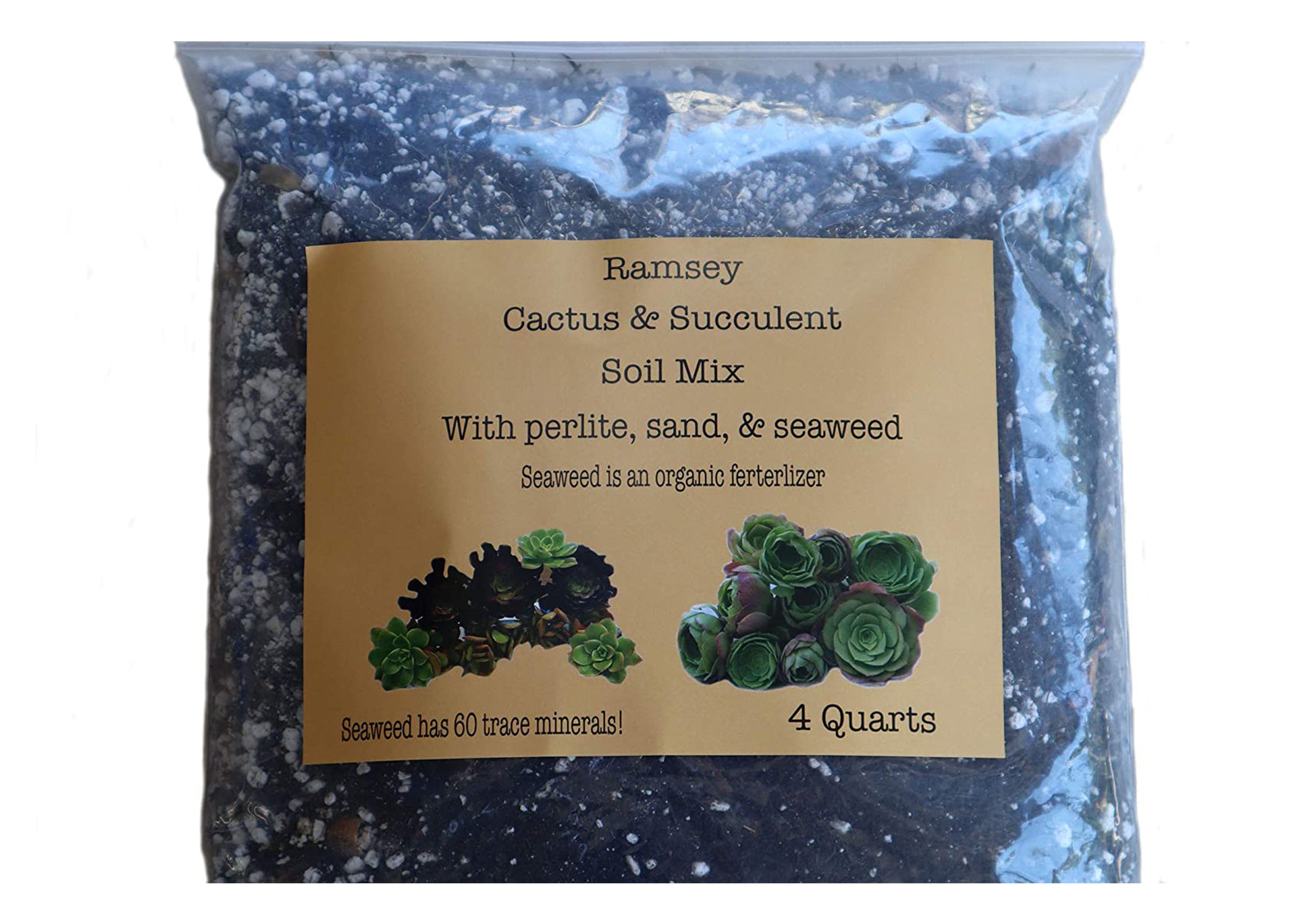 cactus succulent soil mix Ramsey Succulent & Cactus Soil Mix