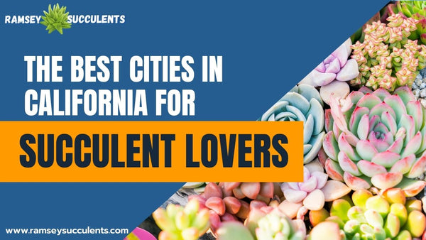 best cities in california for succulent lovers
