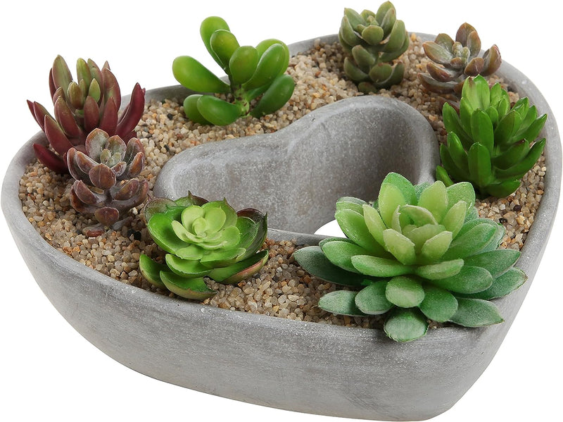 Heart Shaped Succulent Pot