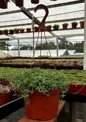 Hanging String of Dolphins 8