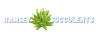 Ramsey Succulents logo