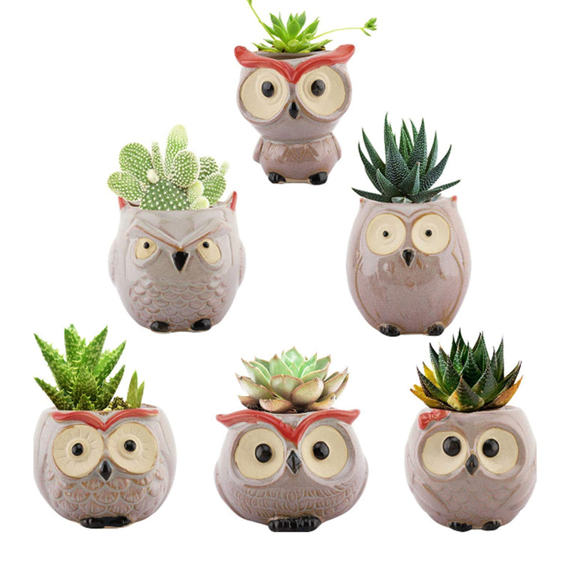 Owl Succulent Pots, 2.5" Ceramic Owl Succulent Planter/Pots
